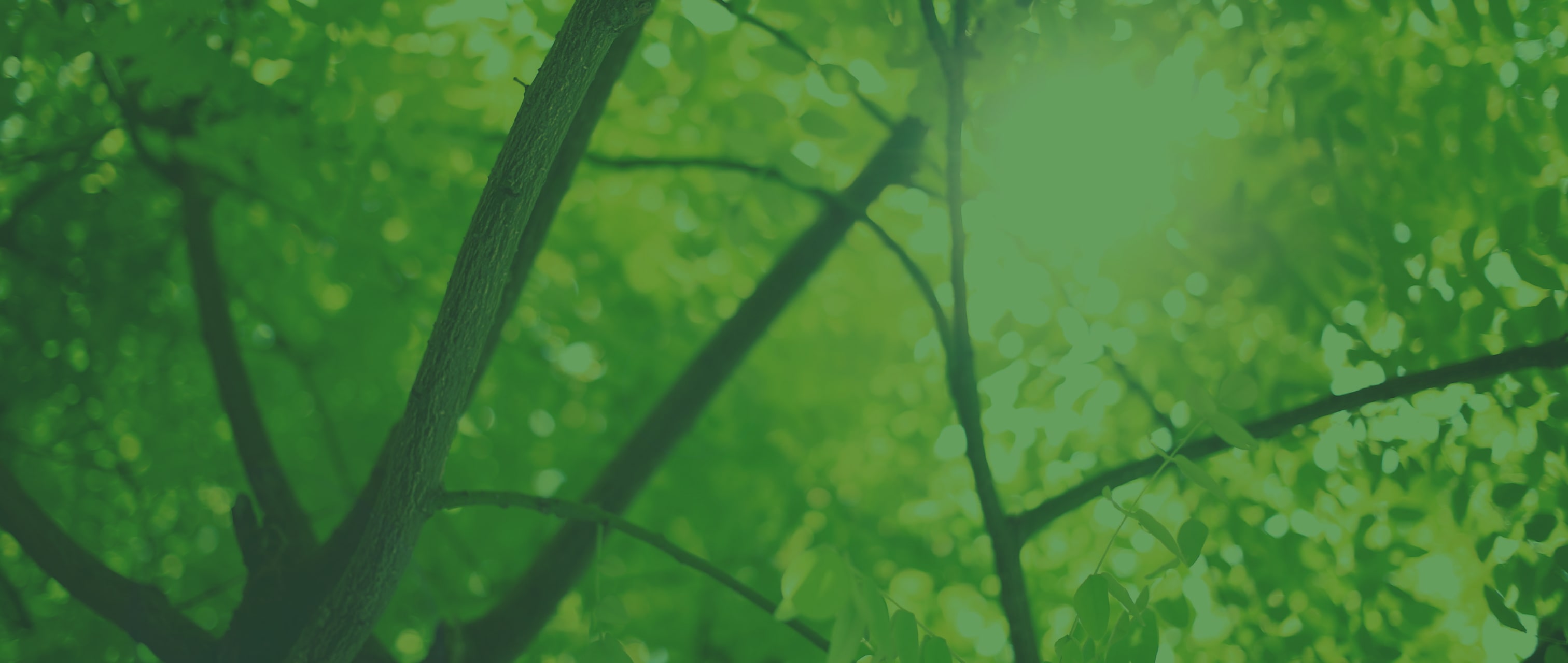 LP_Headers_v1a__0000_Lendingtree-min